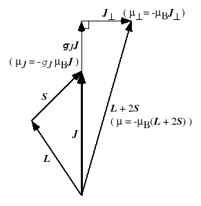 \includegraphics[scale=0.8, clip]{figure7.eps}