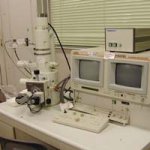 Scanning Electron Microscope