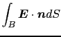 $\displaystyle \int_{B} \mbox{\boldmath$E$} \cdot \mbox{\boldmath$n$} dS$