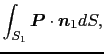 $\displaystyle \int_{S_{1}}\mbox{\boldmath$P$} \cdot \mbox{\boldmath$n$}_{1} dS,$