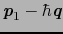 $\mbox{\bfseries\itshape {p}}_{1} - \hbar\mbox{\bfseries\itshape {q}}$