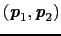 $(\mbox{\bfseries\itshape {p}}_{1}, \mbox{\bfseries\itshape {p}}_{2})$