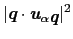 $\displaystyle \vert\mbox{\bfseries\itshape {q}}\cdot\mbox{\bfseries\itshape {u}}_{\alpha\mbox{\bfseries\itshape {q}}}\vert^{2}$